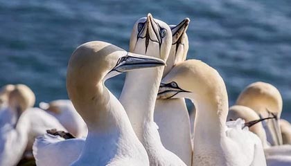 51吃瓜黑料后续不止表面这些，连后续动静都开始对上了