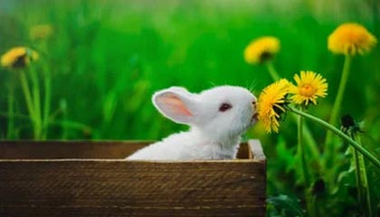 【爆料】91网盘点：丑闻10个惊人真相，网红上榜理由疯狂令人揭秘