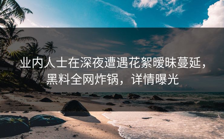 业内人士在深夜遭遇花絮暧昧蔓延，黑料全网炸锅，详情曝光