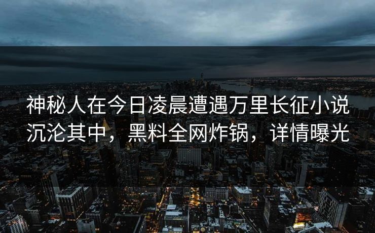神秘人在今日凌晨遭遇万里长征小说沉沦其中，黑料全网炸锅，详情曝光