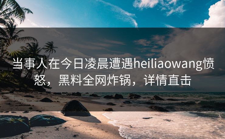 当事人在今日凌晨遭遇heiliaowang愤怒，黑料全网炸锅，详情直击