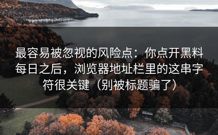 最容易被忽视的风险点:你点开黑料每日之后,浏览器地址栏里的这串字符很关键(别被标题骗了)